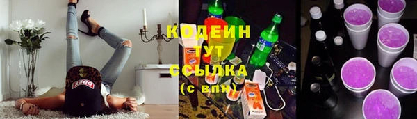 прущий лед Арсеньев