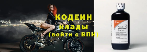 прущий лед Арсеньев